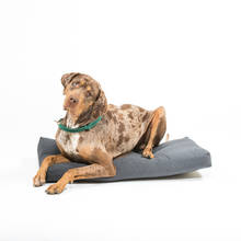 Hundebett 90x50x10 cm