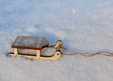 Rodeln: Ein Wintererlebnis und die Rolle des Sitzkissens