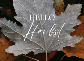 Ihr Zuhause im Herbstlook: Velvet-Wrmekissen in Trendfarben