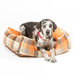 Hundebett